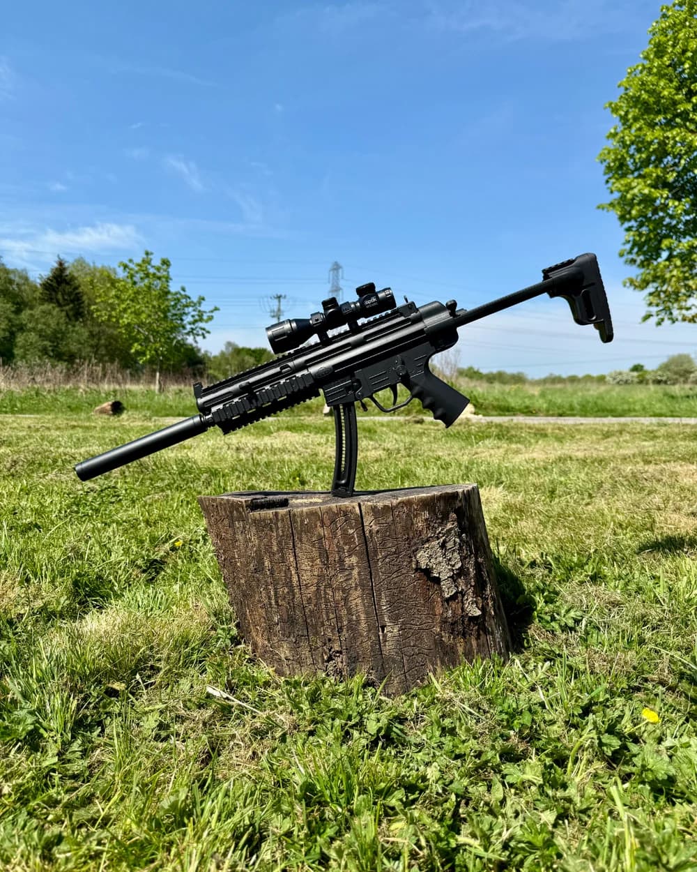 Firearm: GSG 16 