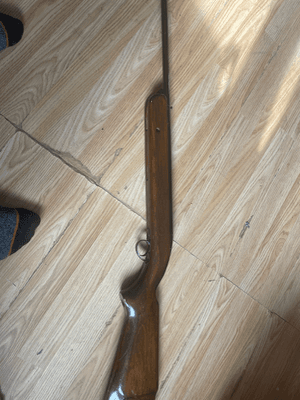 Firearm: BSA Meteor 