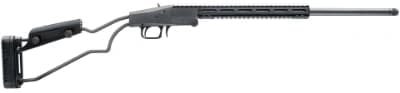 Firearm: Chiappa Big Badger 
