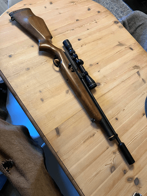 Firearm: Webley Raider 