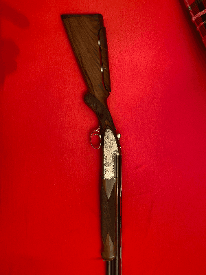 Firearm: Caesar Guerini Magnus Light