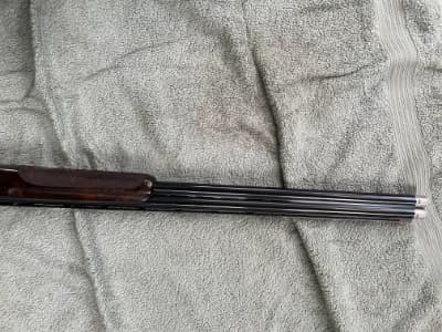 Firearm: Beretta DT10 Trap