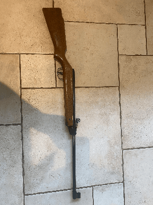Firearm: Cometa .50 
