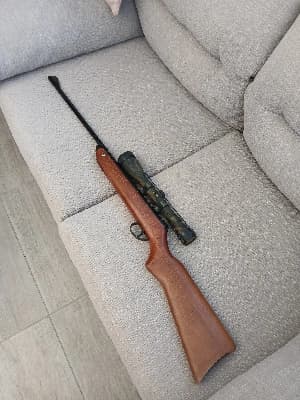 Firearm: BSA Meteor 