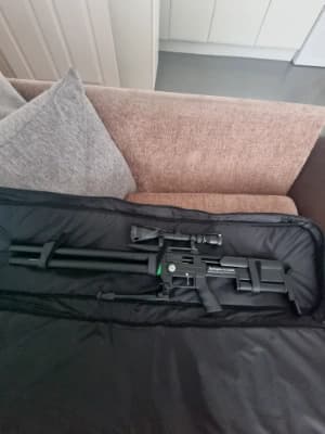Firearm: Remington Blackbird 