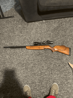 Firearm: BSA Supersport SE
