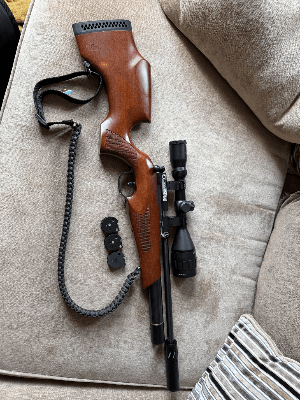 Firearm: BSA Ultra CLX