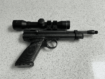 Firearm: Crosman Rat Buster 2240
