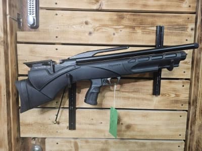 Firearm: Daystate Renegade 