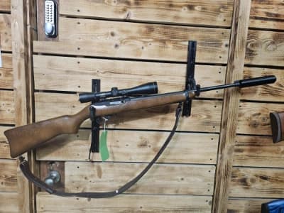 Firearm: Ruger 10-22 