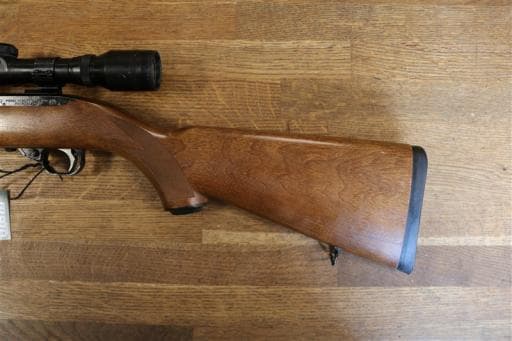 Firearm: Ruger 10-22 Carbine