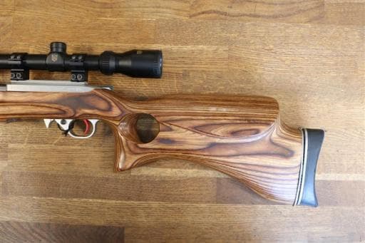 Firearm: Ruger 10-22 Custom
