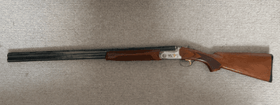 Firearm: Bettinsoli Silver 