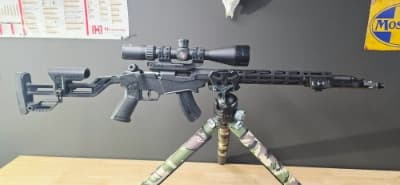 Firearm: Ruger Precision 