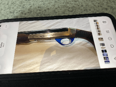 Firearm: Breda 930I Blue