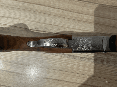 Firearm: Beretta 690 Game