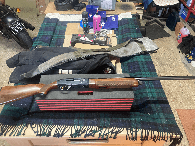 Firearm: Beretta A303 