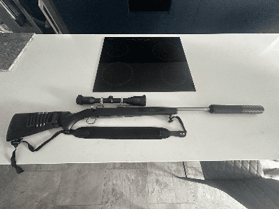 Firearm: Ruger All Weather Stainless