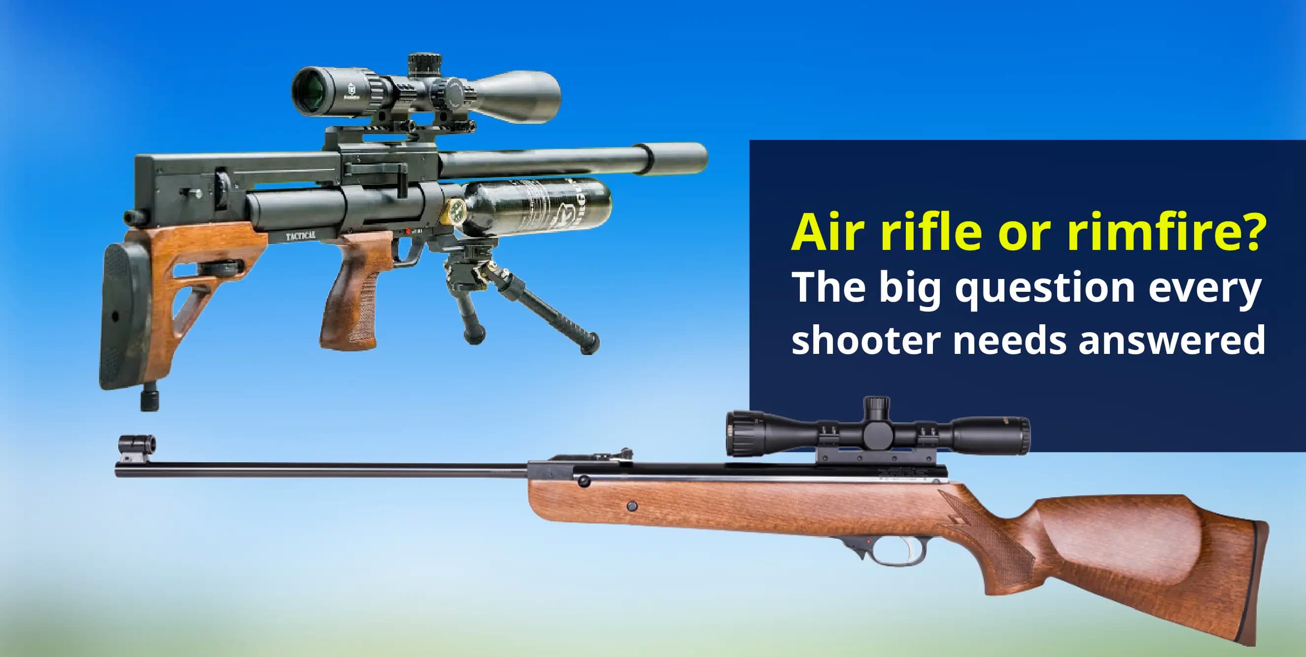 Air rifle vs rimfire: Understanding the difference