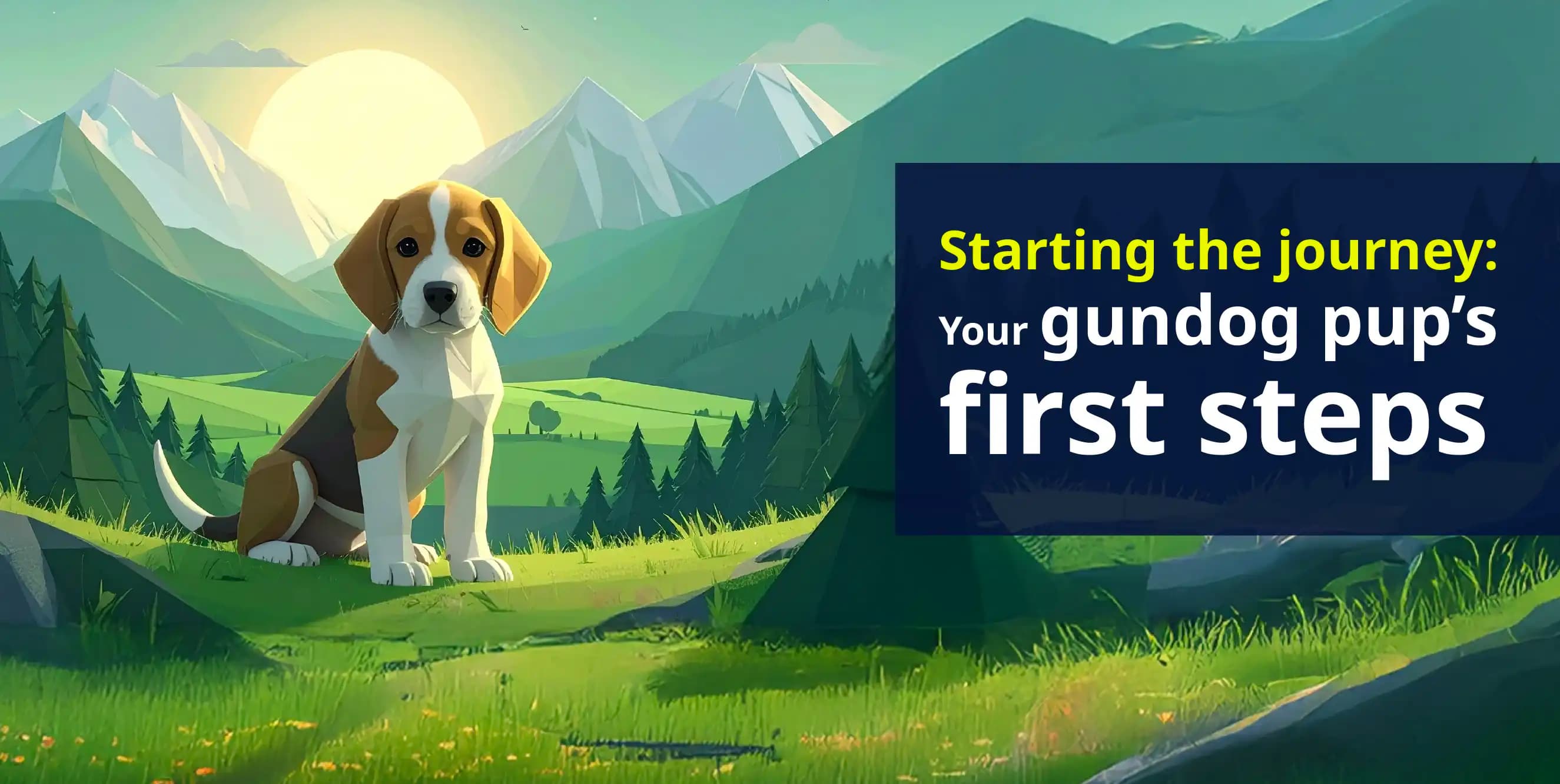 Bringing your gun dog puppy home - 10 essential commandments for a future field star