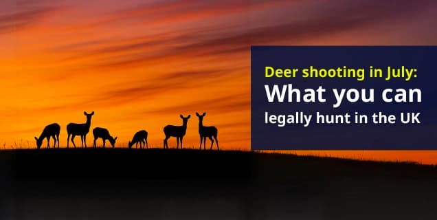 What deer can you shoot in July in the UK?