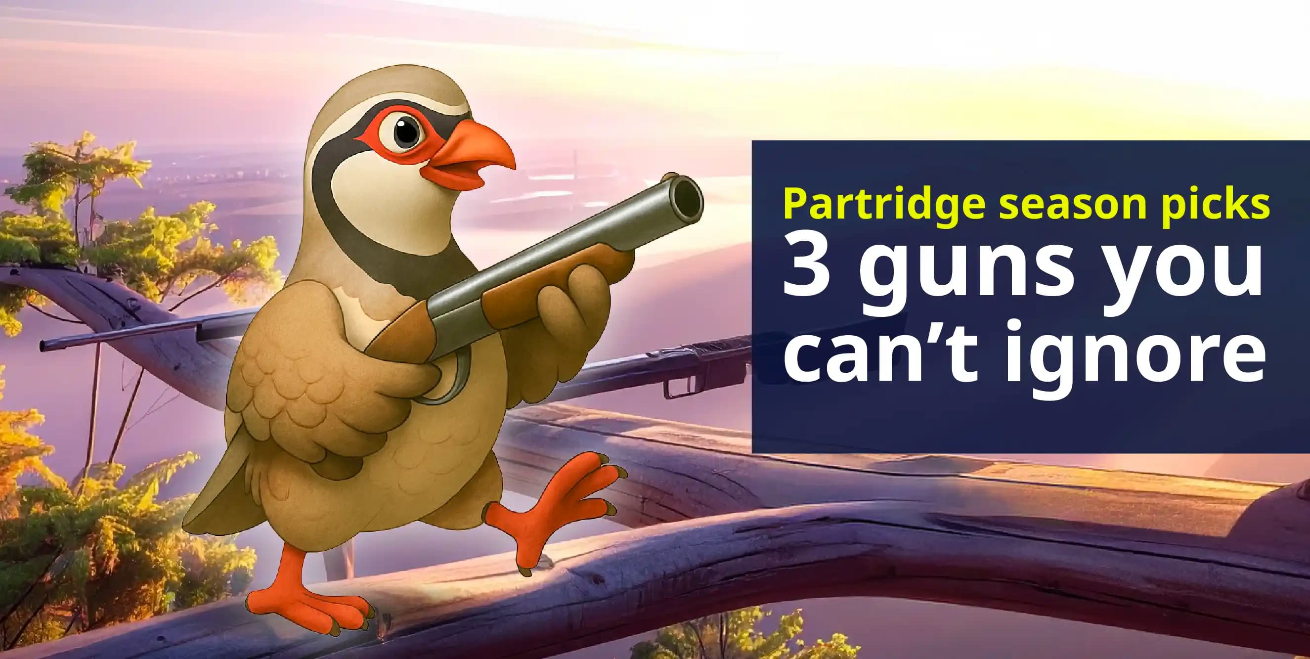 The top 3 guns for the partridge season