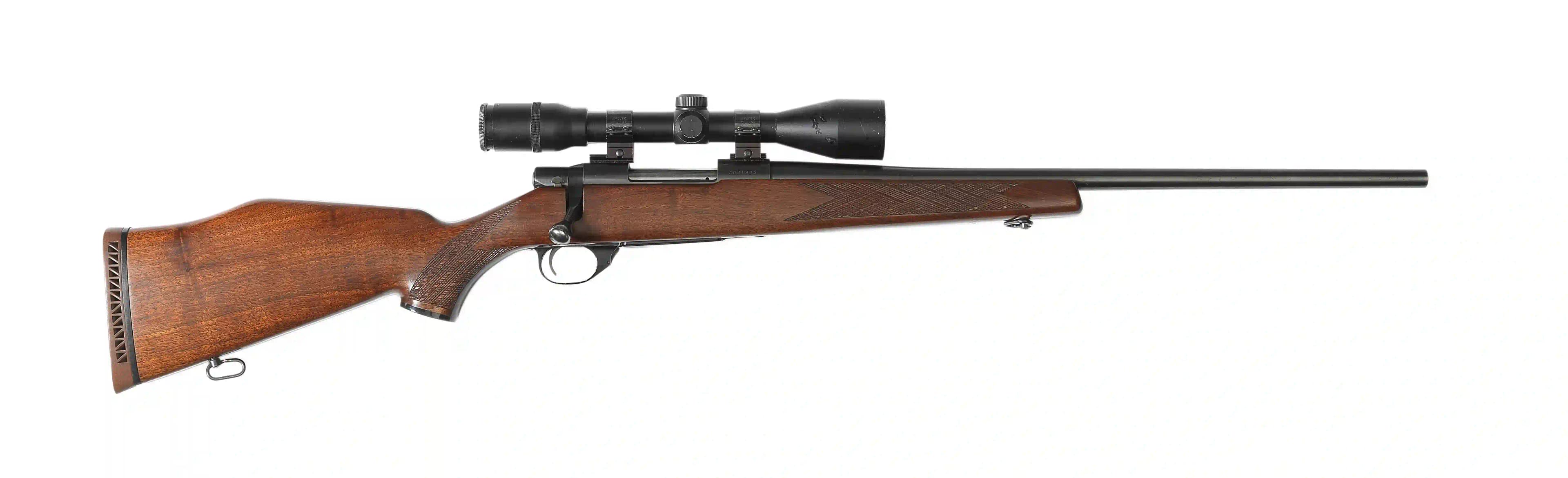 Firearm: RWS 89 