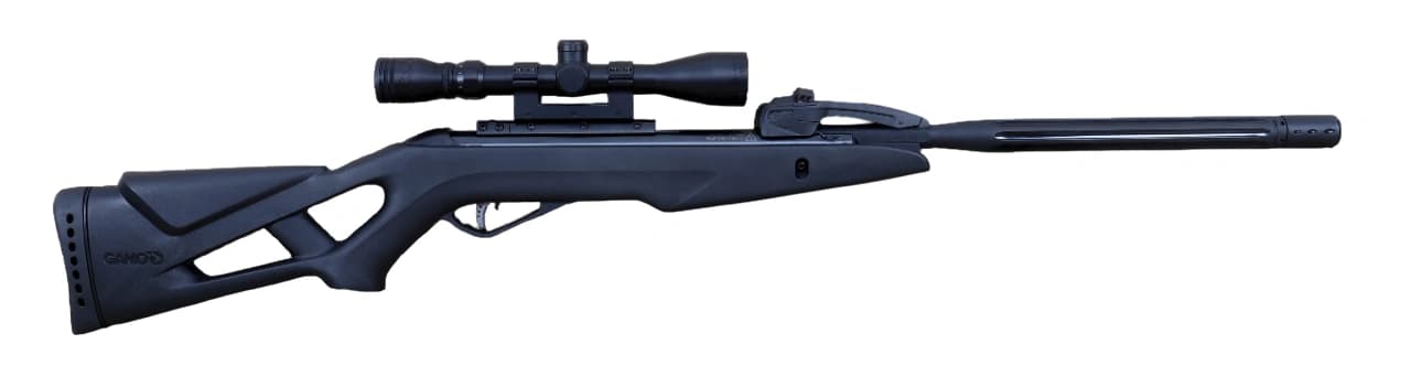 Firearm: Gamo Whisper X Swarm