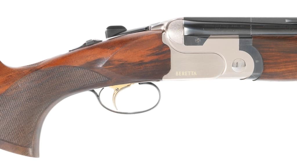 Firearm: Beretta DT10 Trident