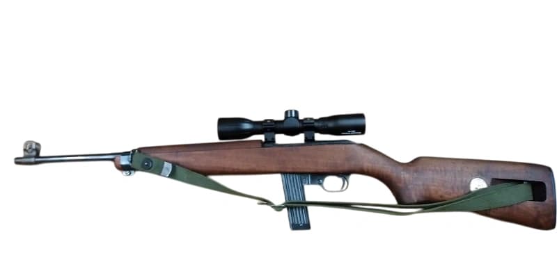 Firearm: Erma EM1