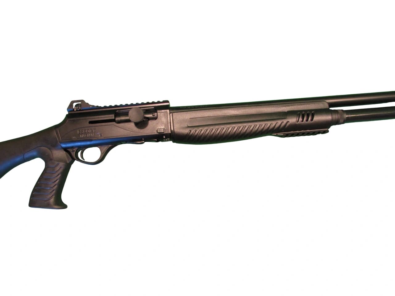 Firearm: Escort MP A24